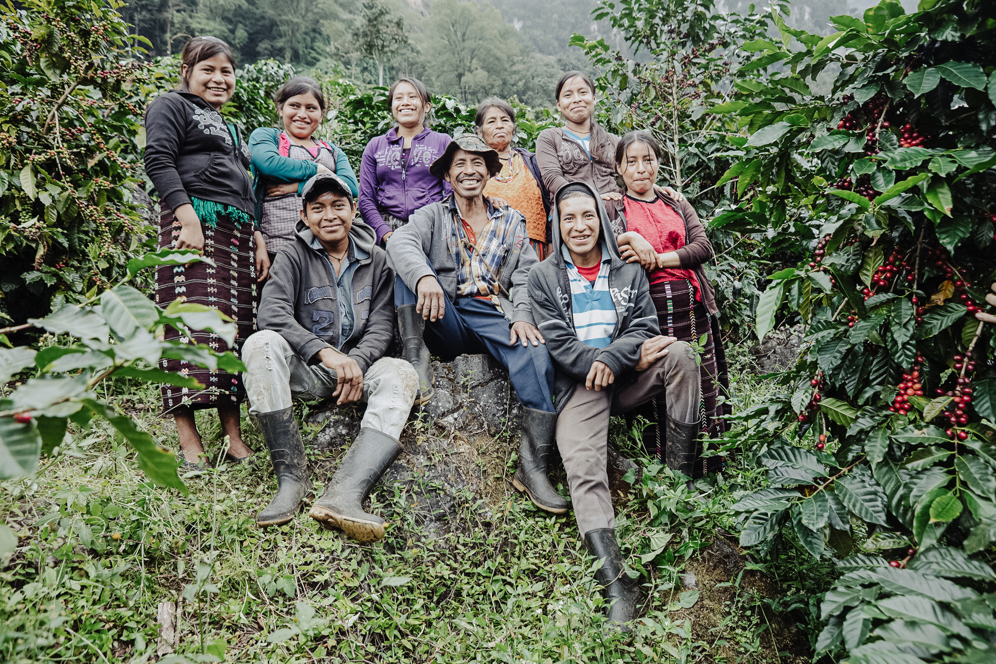 Guatemala - Granada – Filtr – Father’s Coffee Roastery