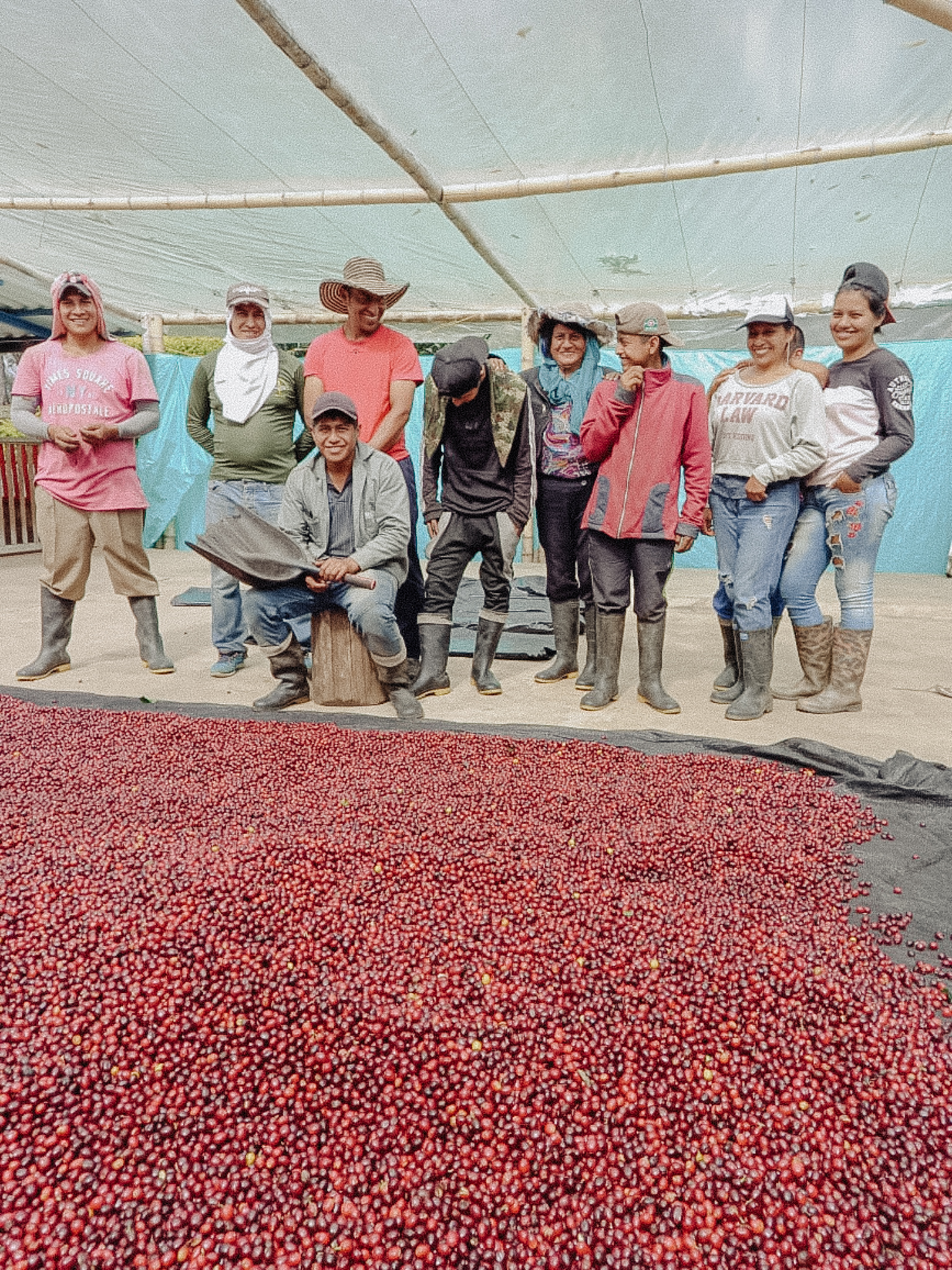 3Colombia - Robinson